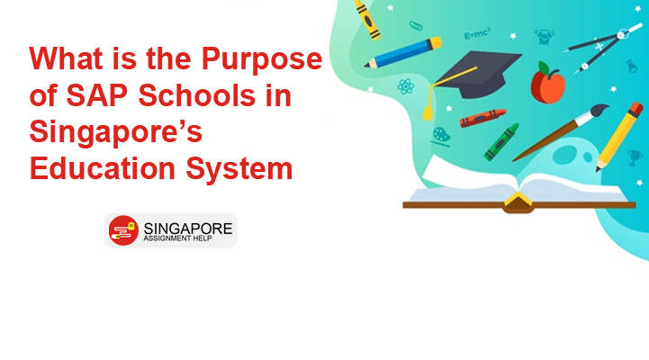 What is the purpose of SAP schools in Singapore's education system?