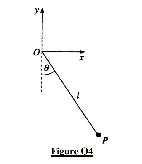 A pendulum consists of a particle P of mass m attached to a model