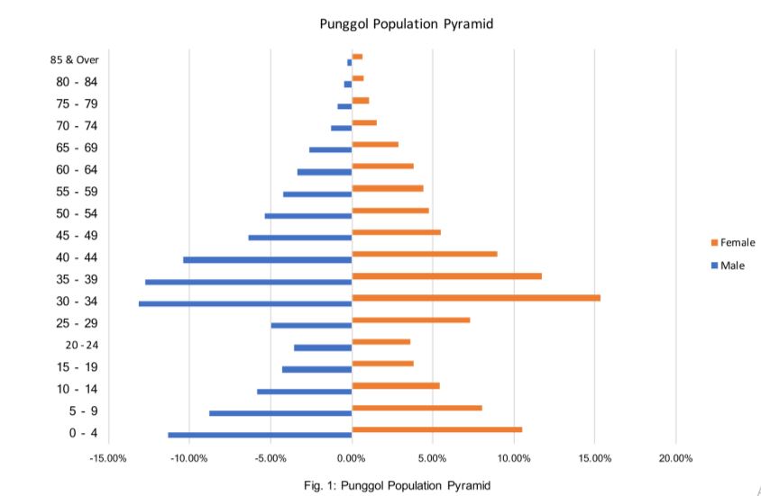 You are required to focus on examining a selected district in Singapore