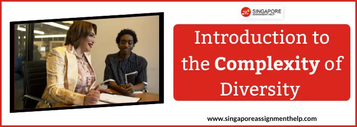 Introduction to the Complexity of Diversity Sample Essay