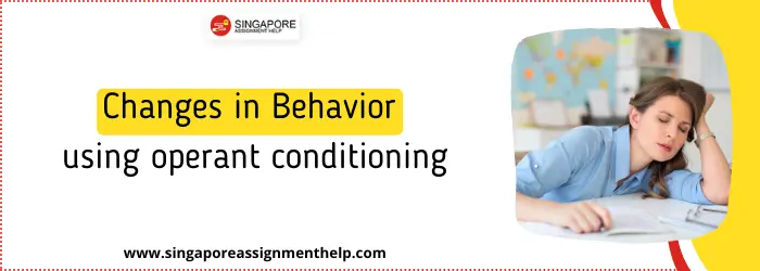 Changes in behavior using operant conditioning Essay Singapore