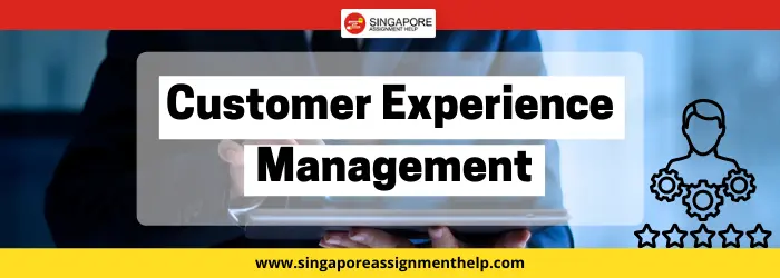 Customer Experience Management Assignment Sample