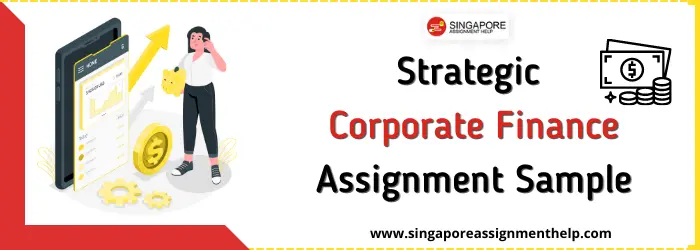 Strategic Corporate Finance Assignment Sample Singapore