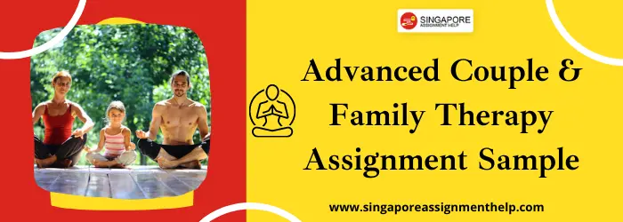 COU 562 Advanced Couple and Family Therapy Assignment SUSS, Singapore