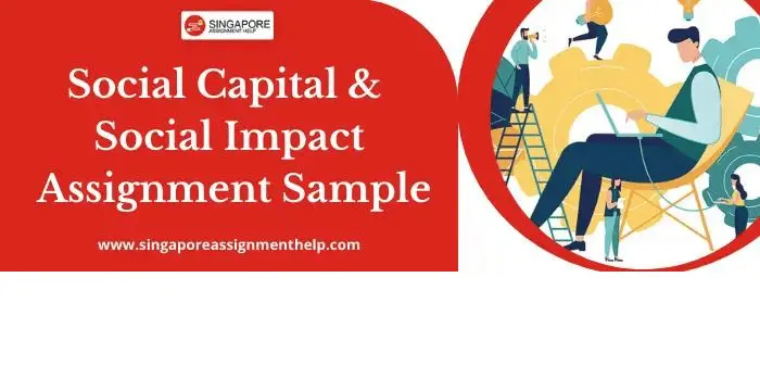 NPM 507 Social Capital and Social Impact Assignment Sample