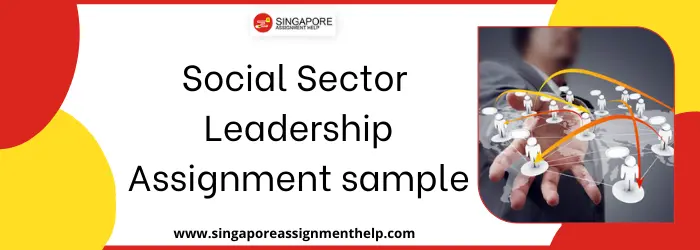 NPM 504 Social Sector Leadership Assignment sample SUSS Singapore