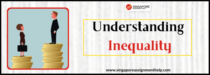 SCO117 Understanding Inequality SUSS Assignment Sample Singapore