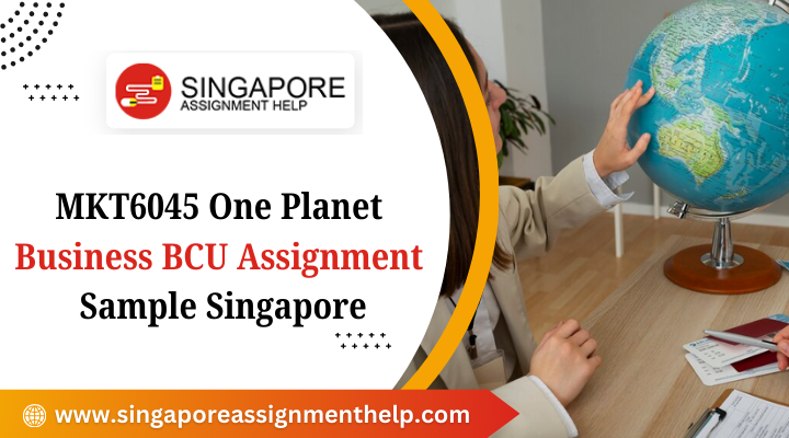 MKT6045 One Planet Business BCU Assignment Sample Singapore