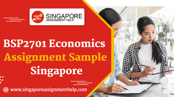 BSP2701 economics assignment sample Singapore