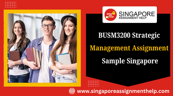 BUSM3200 strategic management assignment sample Singapore