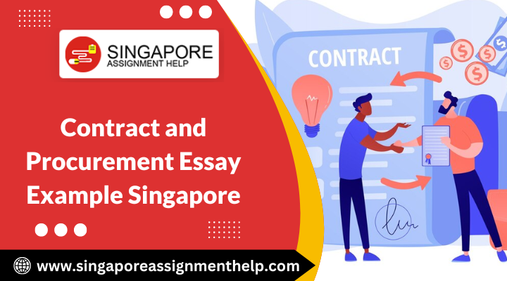 Contract and Procurement Essay Example Singapore