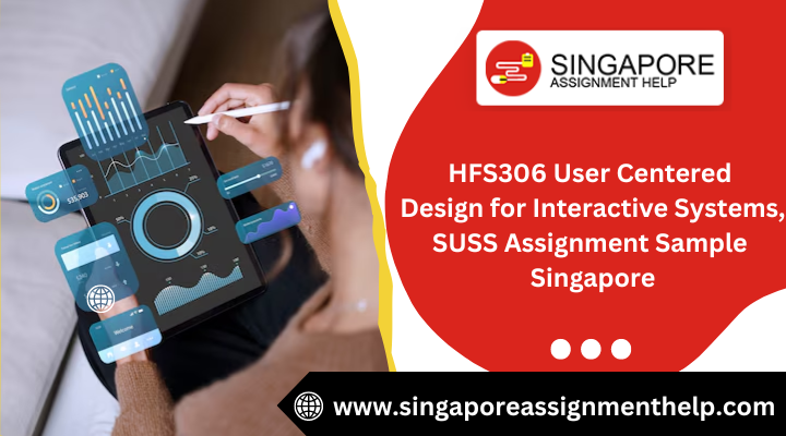 HFS306 user centered design interactive systems, SUSS assignment sample Singpore