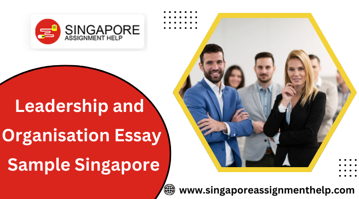 Leadership and organisation essay sample Singapore