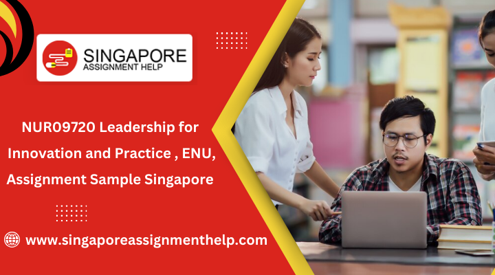 NUR09720 leadership for innovation and practice , ENU, assignment sample Singapore