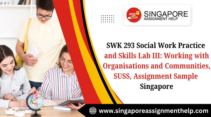 SWK 293 Social Work Practice and Skills Lab III: Working with Organisations and Communities, SUSS, Assignment Sample Singapore