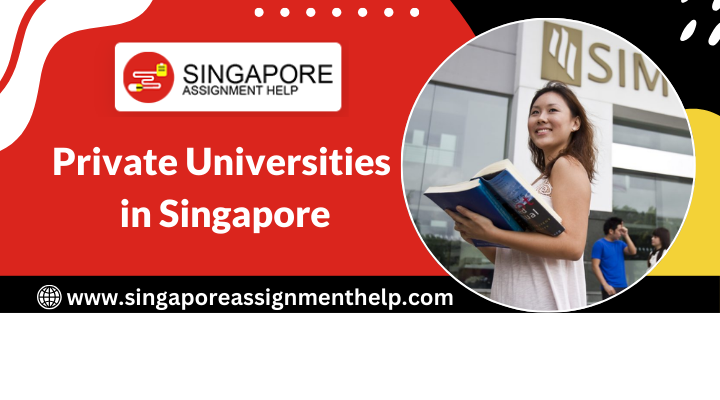 Private Universities in Singapore