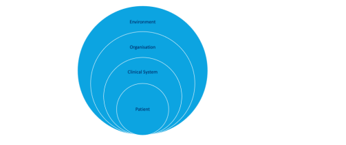 SPH5415 Healthcare Operations And Performance Individual Assignment