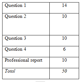 ECON 1089 – Business in the Globalized Economy, Assessment Task 3, RMIT