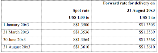 AC3102 NTU Assignment : Aug 2024 - Risk Reporting and Analysis