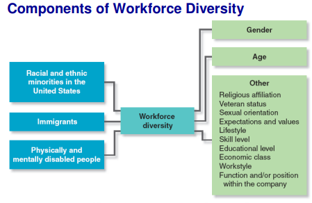 ITM Bridging Topic 08 - Managing Diversity