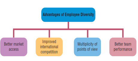 ITM Bridging Topic 08 - Managing Diversity