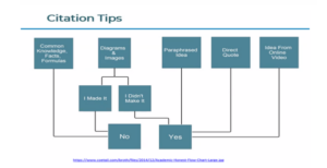 MGT568 ECA citation tips